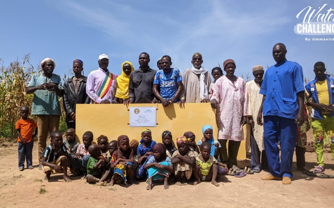 Forages au Mali : l’année des challenge !